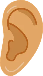 ear.webp